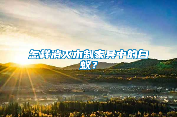 怎樣消滅木制家具中的白蟻？