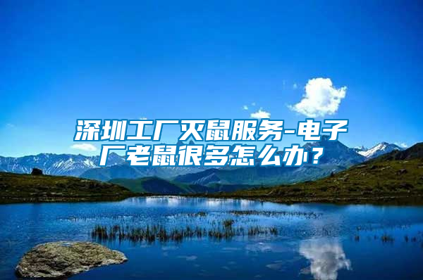 深圳工廠滅鼠服務(wù)-電子廠老鼠很多怎么辦？