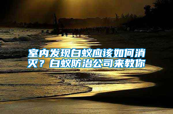 室內(nèi)發(fā)現(xiàn)白蟻應該如何消滅？白蟻防治公司來教你