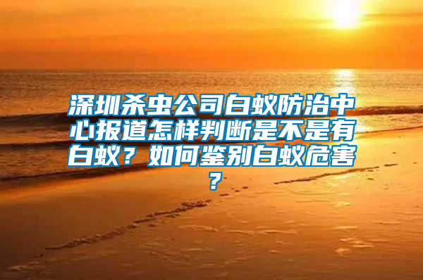深圳殺蟲公司白蟻防治中心報道怎樣判斷是不是有白蟻？如何鑒別白蟻危害？