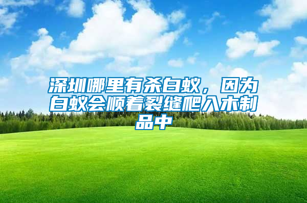 深圳哪里有殺白蟻，因為白蟻會順著裂縫爬入木制品中