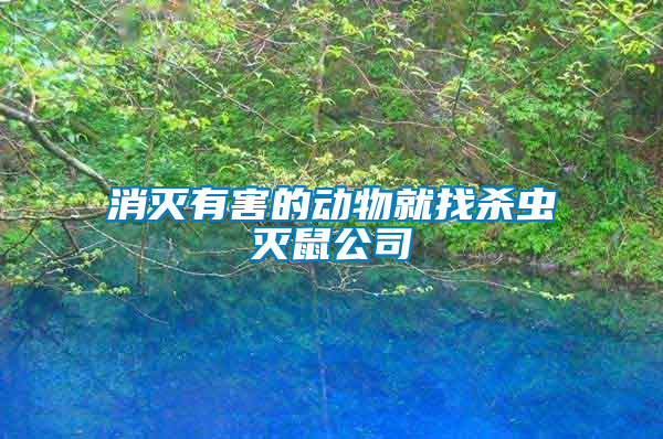 消滅有害的動(dòng)物就找殺蟲滅鼠公司