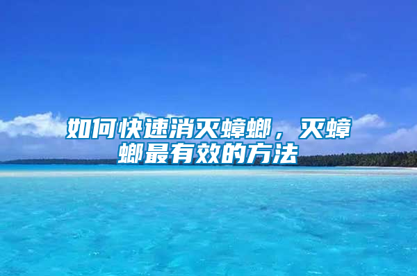 如何快速消滅蟑螂，滅蟑螂最有效的方法