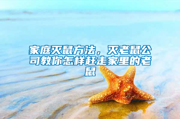 家庭滅鼠方法，滅老鼠公司教你怎樣趕走家里的老鼠