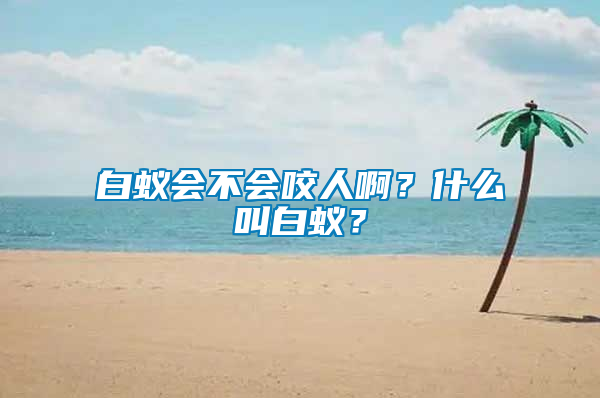 白蟻會(huì)不會(huì)咬人啊？什么叫白蟻？