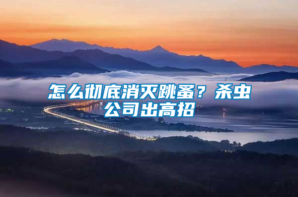怎么徹底消滅跳蚤？殺蟲公司出高招