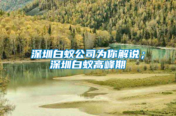 深圳白蟻公司為你解說；深圳白蟻高峰期