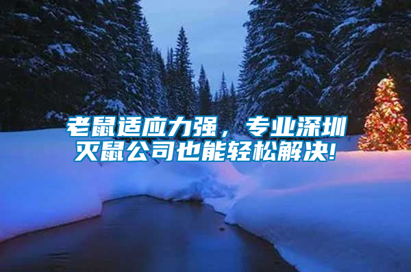 老鼠適應(yīng)力強(qiáng)，專業(yè)深圳滅鼠公司也能輕松解決!