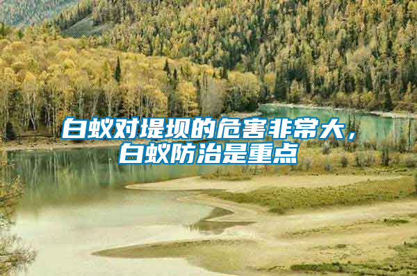 白蟻對堤壩的危害非常大，白蟻防治是重點(diǎn)
