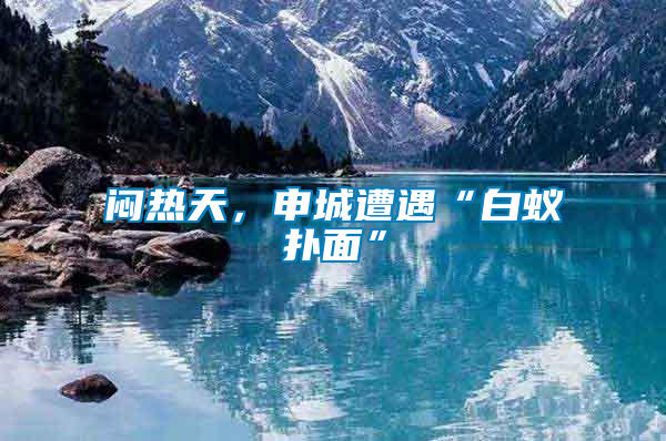 悶熱天，申城遭遇“白蟻撲面”