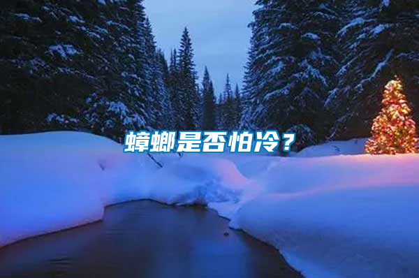蟑螂是否怕冷？