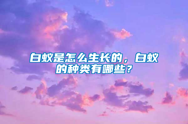 白蟻是怎么生長的，白蟻的種類有哪些？