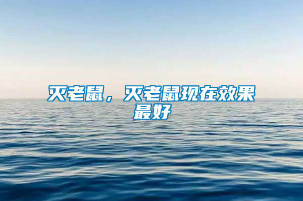 滅老鼠，滅老鼠現(xiàn)在效果最好
