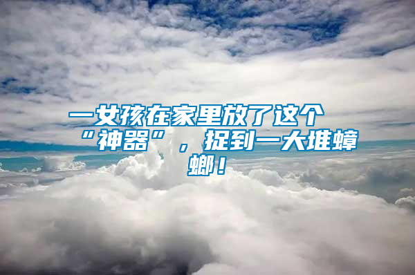 一女孩在家里放了這個(gè)“神器”，捉到一大堆蟑螂！