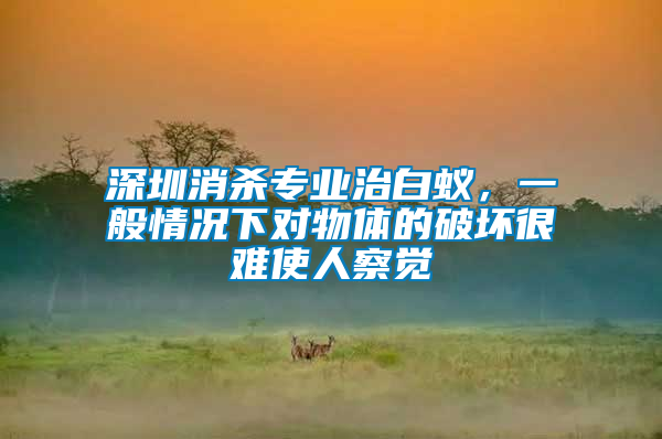 深圳消殺專業(yè)治白蟻，一般情況下對物體的破壞很難使人察覺