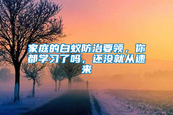 家庭的白蟻防治要領(lǐng)，你都學(xué)習(xí)了嗎，還沒就從速來