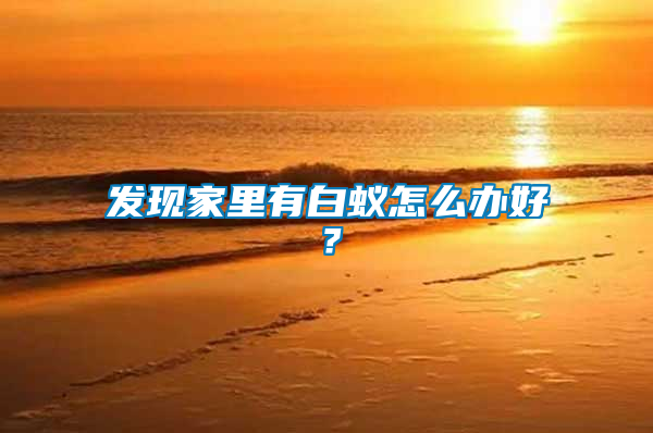 發(fā)現(xiàn)家里有白蟻怎么辦好？