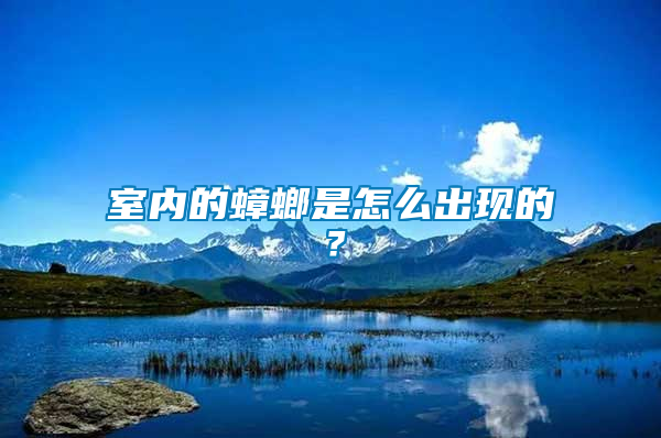 室內(nèi)的蟑螂是怎么出現(xiàn)的？