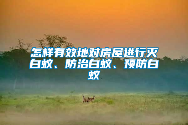 怎樣有效地對(duì)房屋進(jìn)行滅白蟻、防治白蟻、預(yù)防白蟻