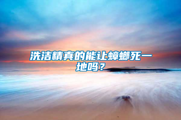 洗潔精真的能讓蟑螂死一地嗎？