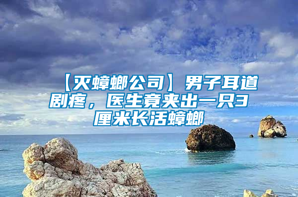 【滅蟑螂公司】男子耳道劇疼，醫(yī)生竟夾出一只3厘米長活蟑螂