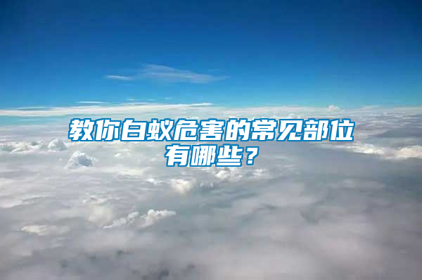 教你白蟻危害的常見部位有哪些？