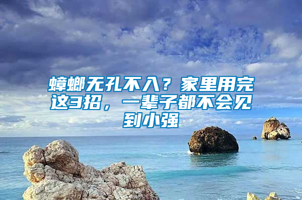 蟑螂無孔不入？家里用完這3招，一輩子都不會見到小強(qiáng)