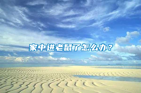 家中進老鼠了怎么辦？
