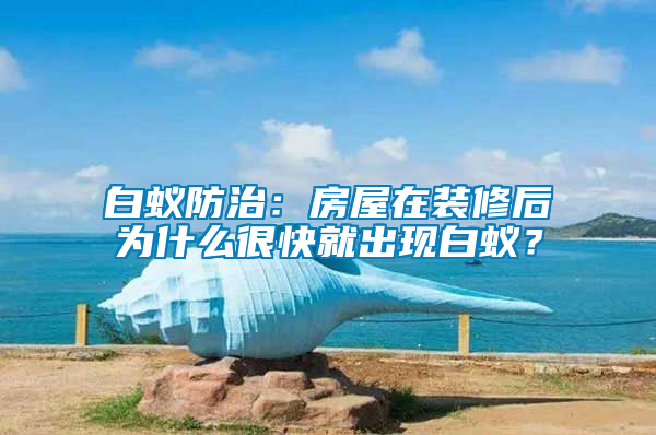 白蟻防治：房屋在裝修后為什么很快就出現(xiàn)白蟻？