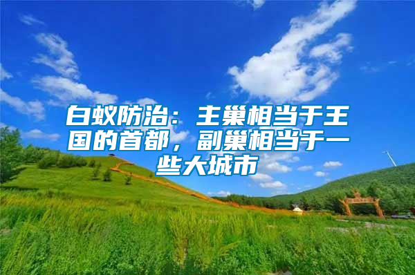 白蟻防治：主巢相當(dāng)于王國的首都，副巢相當(dāng)于一些大城市
