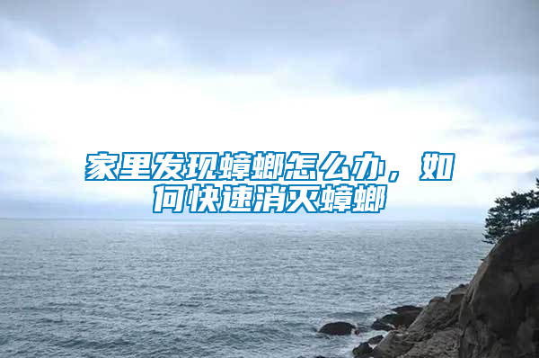 家里發(fā)現蟑螂怎么辦，如何快速消滅蟑螂