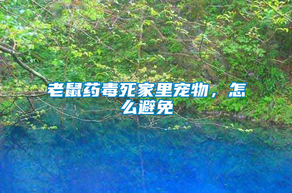 老鼠藥毒死家里寵物，怎么避免
