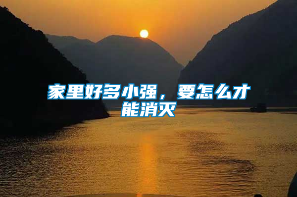 家里好多小強(qiáng)，要怎么才能消滅
