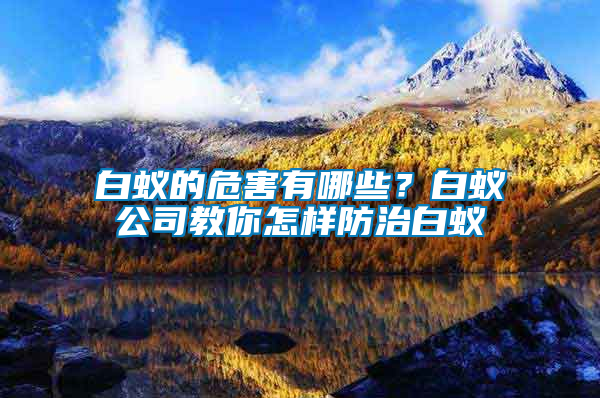 白蟻的危害有哪些？白蟻公司教你怎樣防治白蟻