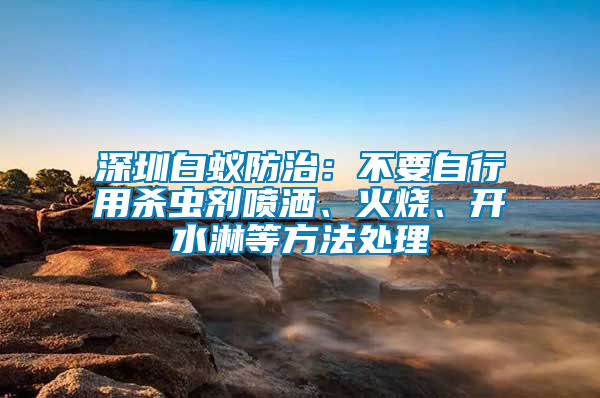 深圳白蟻防治：不要自行用殺蟲劑噴灑、火燒、開水淋等方法處理