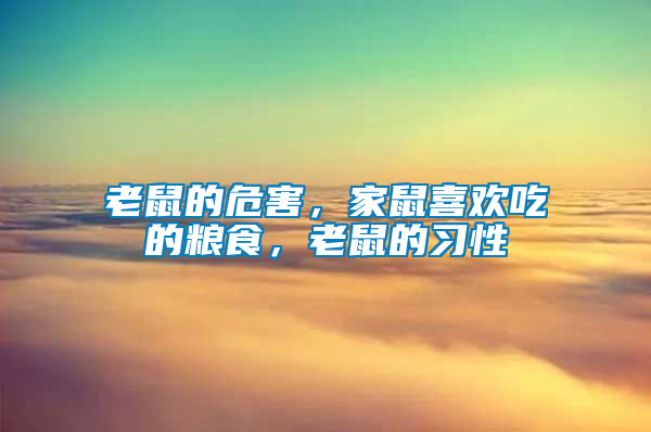 老鼠的危害，家鼠喜歡吃的糧食，老鼠的習性