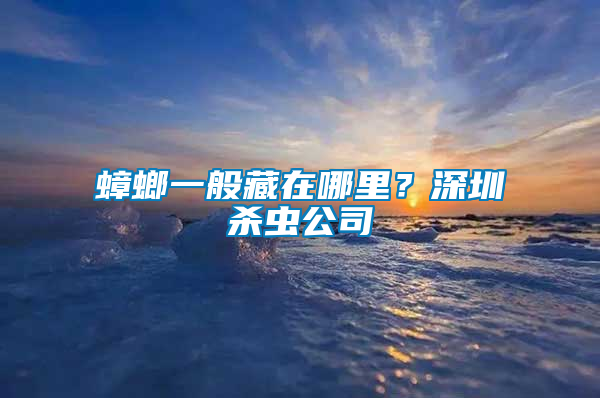 蟑螂一般藏在哪里？深圳殺蟲公司