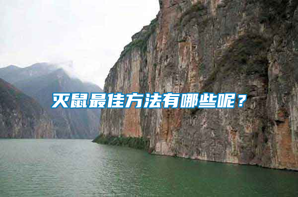 滅鼠最佳方法有哪些呢？