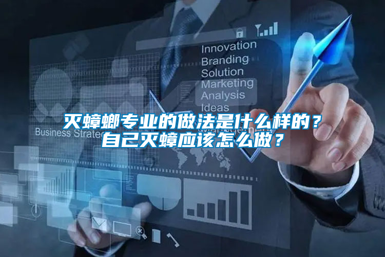 滅蟑螂專業(yè)的做法是什么樣的？自己滅蟑應(yīng)該怎么做？