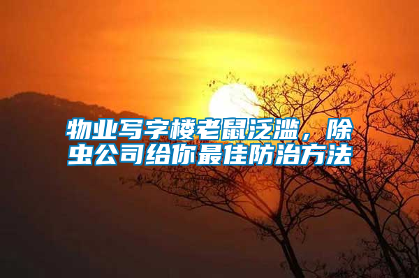 物業(yè)寫字樓老鼠泛濫，除蟲公司給你最佳防治方法
