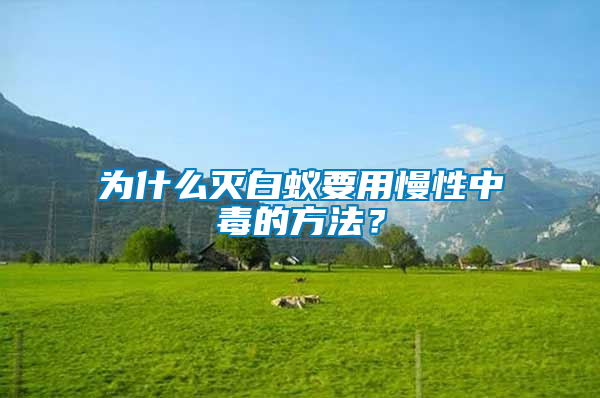 為什么滅白蟻要用慢性中毒的方法？