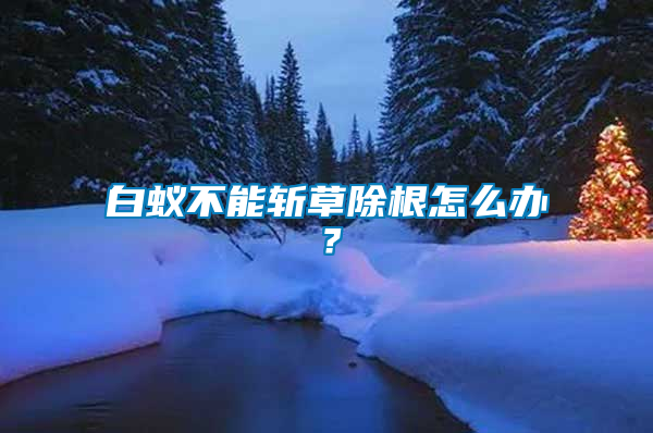 白蟻不能斬草除根怎么辦？