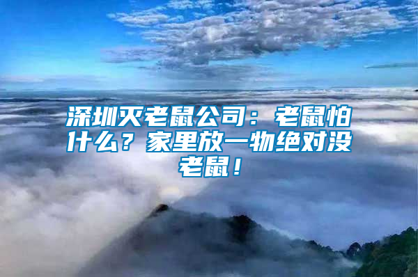 深圳滅老鼠公司：老鼠怕什么？家里放一物絕對沒老鼠！