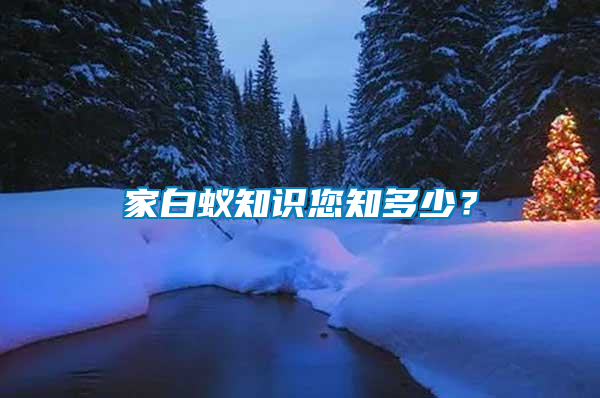 家白蟻知識您知多少？