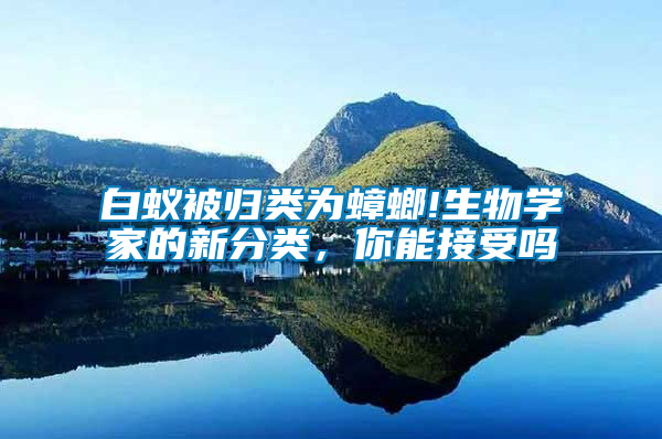 白蟻被歸類為蟑螂!生物學家的新分類，你能接受嗎