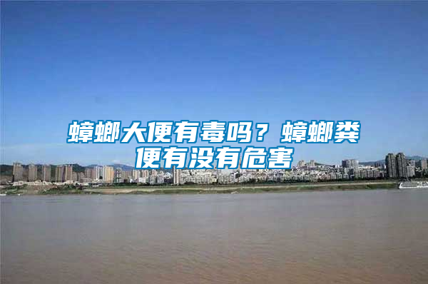 蟑螂大便有毒嗎？蟑螂糞便有沒有危害