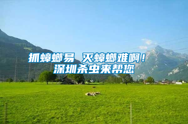 抓蟑螂易 滅蟑螂難?。?深圳殺蟲來幫您