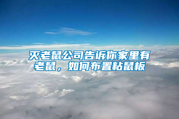 滅老鼠公司告訴你家里有老鼠，如何布置粘鼠板