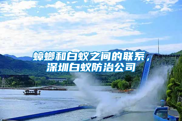 蟑螂和白蟻之間的聯(lián)系，深圳白蟻防治公司