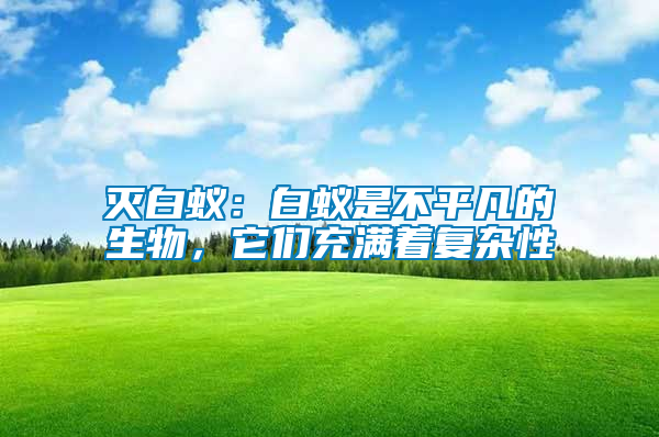 滅白蟻：白蟻是不平凡的生物，它們充滿(mǎn)著復(fù)雜性
